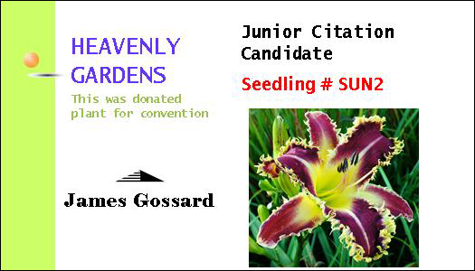 Larry S Twilight Bite